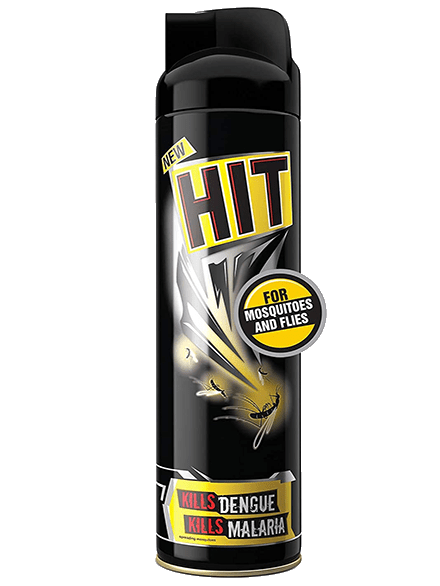 Hit Mosquito and Fly Killer Spray, 200 ml