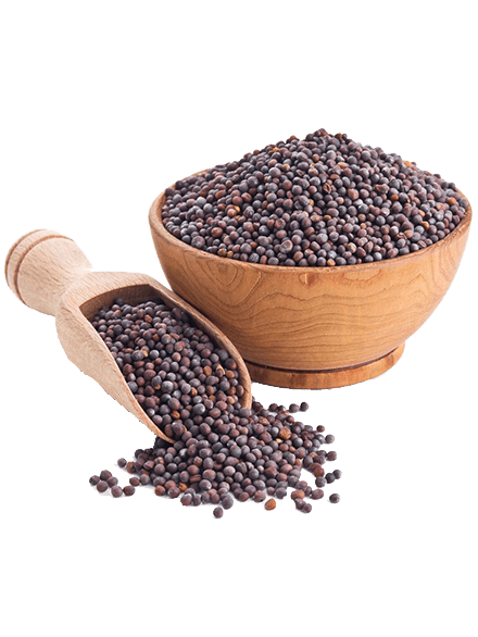 Best Value Kali Sarso(Black Mustard), 100 gm